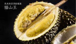 猫山王,猫山王榴莲的独特魅力