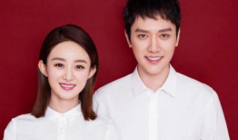 娱乐圈夫妻吃瓜是谁,揭秘明星夫妻背后的甜蜜与争议